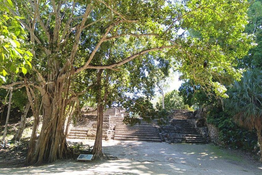 I invite you to discover this Mayan secret hidden within the jungle dominated by the ancient generation's 1