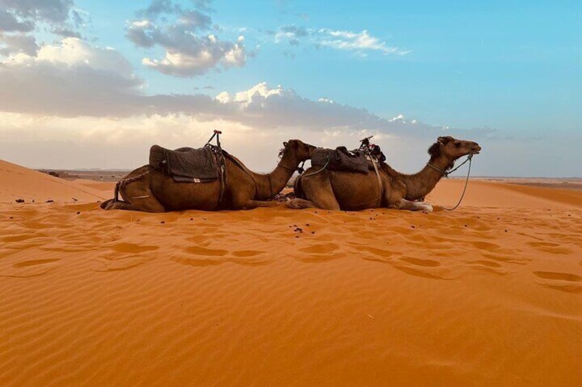 3 Day Desert Tour From Marrakech to Fes 3