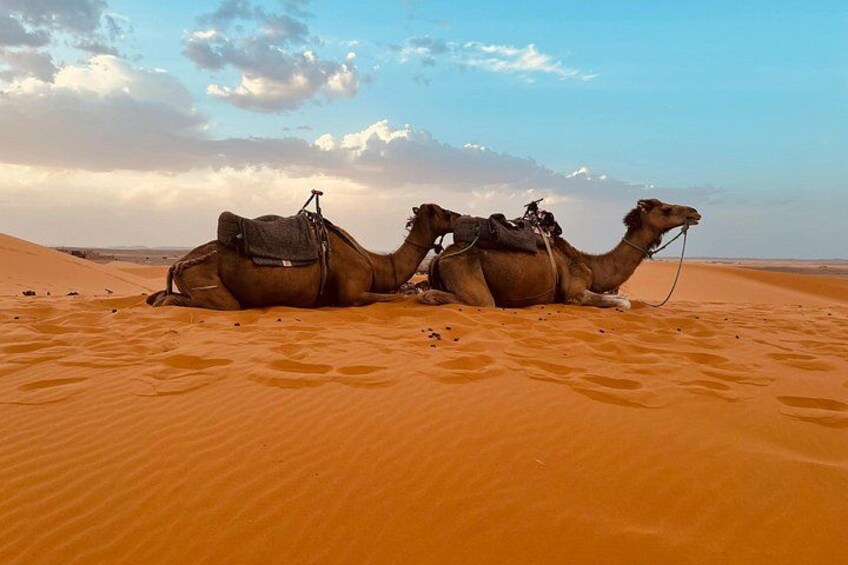 3 Day Desert Tour From Marrakech to Fes 3