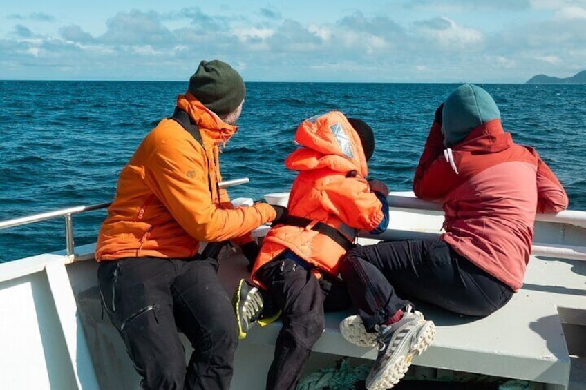 An unforgettable day out for the whole family.
Enjoy the open sea with your loved ones as you search for whales, seabirds, and arctic wildlife — all while staying safe, warm, and curious. 3
