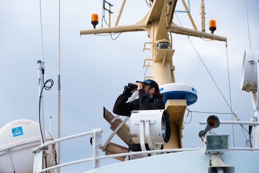 Expert guides, marine biologists, and sharp eyes lead every tour.
Our experienced crew keeps constant watch to give you the best chance of unforgettable wildlife encounters. 2