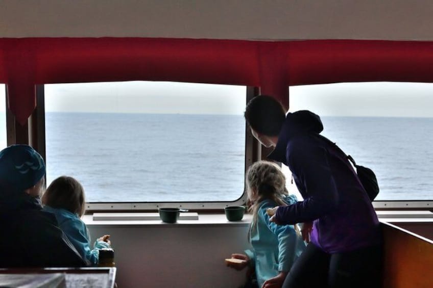 Andenes Whale Safari: Arctic Whale Watching Tour in Vesterålen 4