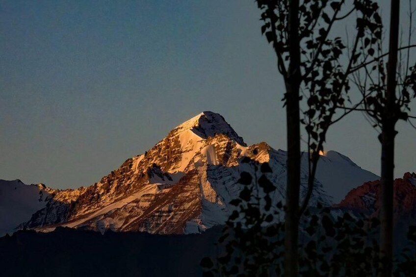 A snow-covered mountain peak at sunset with a silhouette of trees in the foreground. 5
