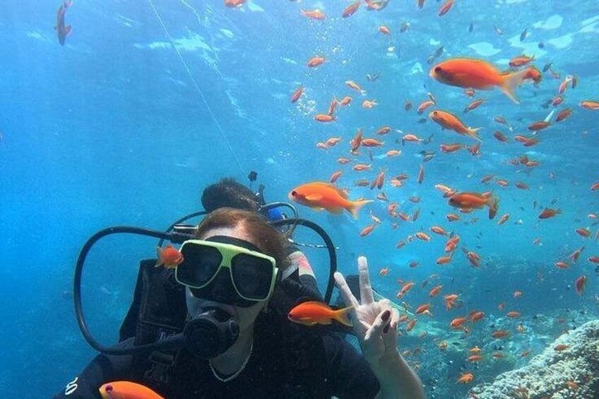 A diver underwater with a group of orange fish around. 1