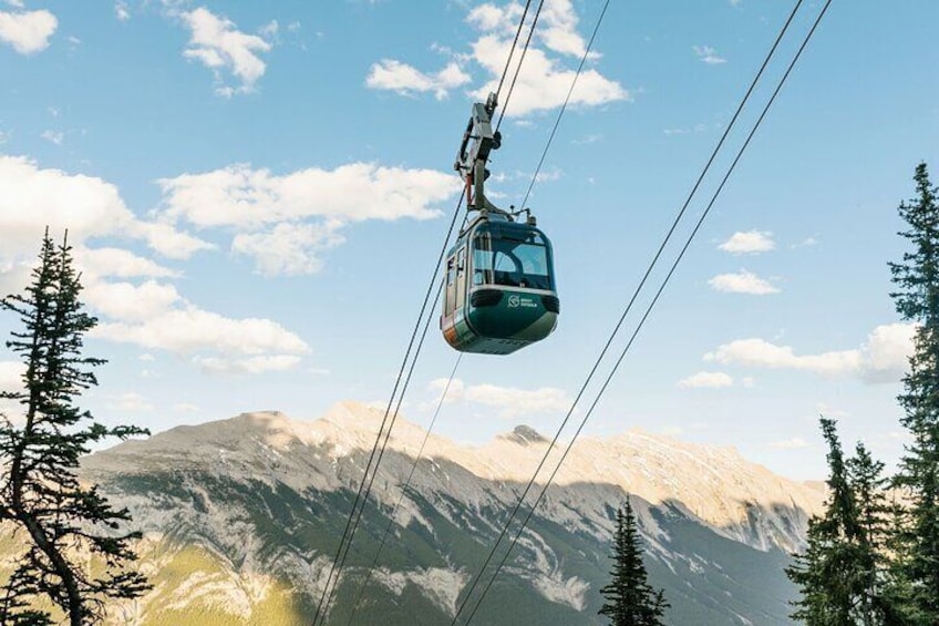 A cable car suspended above a mountainous landscape with trees. 1