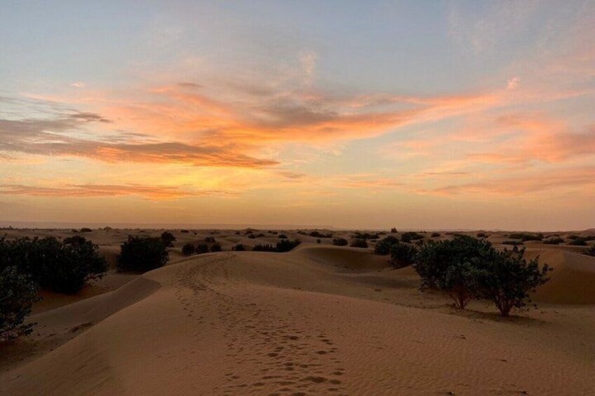 A desert landscape with sand dunes and sparse vegetation under a sunset sky. 1