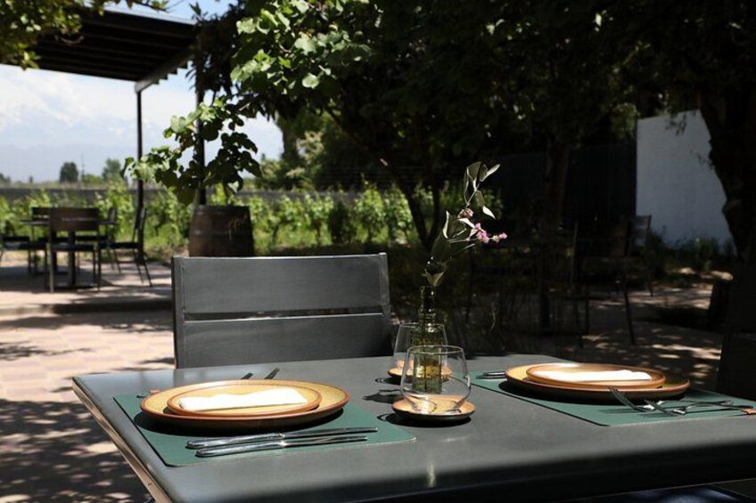 Patio 5