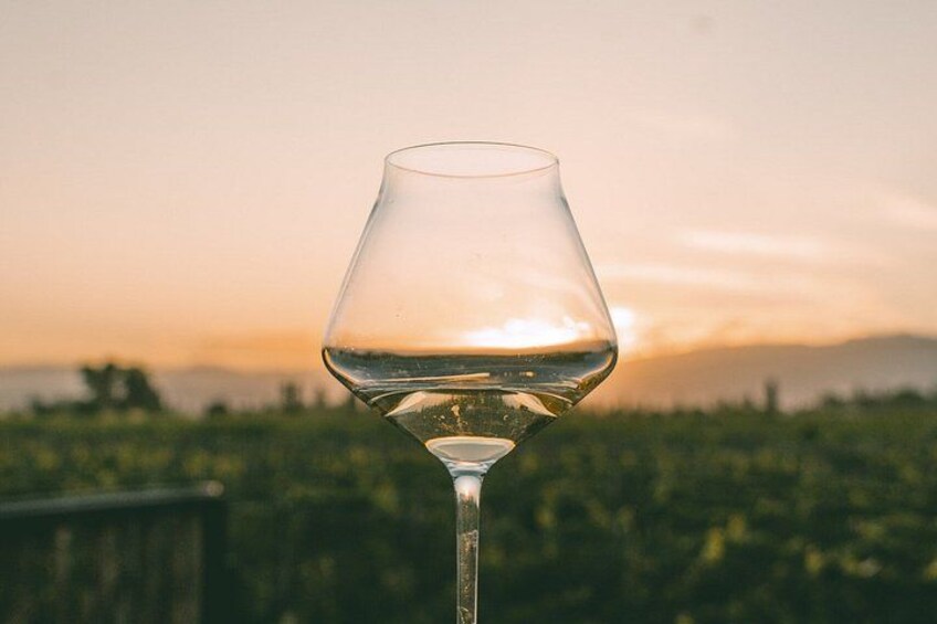 Mendoza Wine Tasting at Bodega Ciclo Andino with Snacks 3