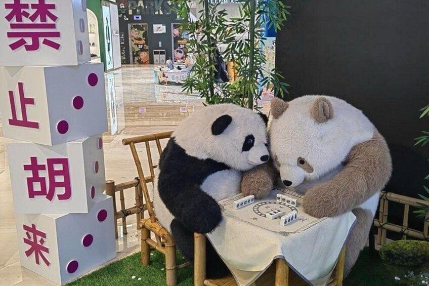 Chengdu Traditional Chinese Tuina Massage Experience 3