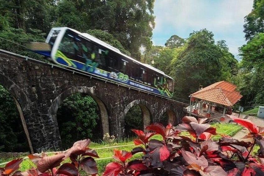 The Funicular 5