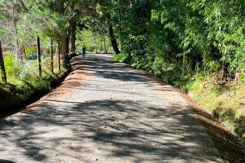 Guided Electric Bicycle Tour of Guatapé 3