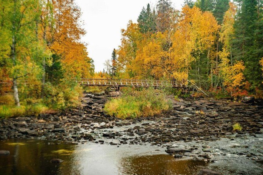 A wooden bridge over a rocky stream in a forest with autumn-colored trees. 3