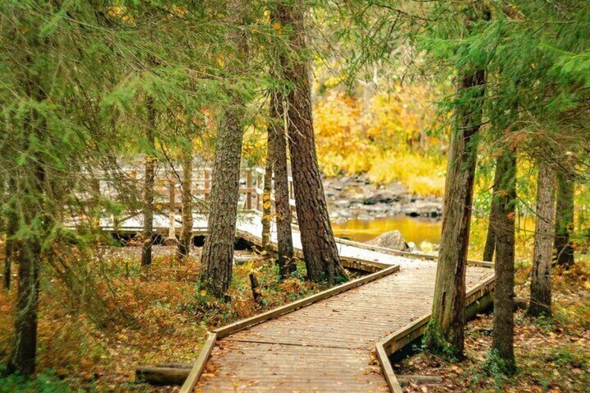 Un paseo marítimo de madera que conduce a un río en un área boscosa con follaje otoñal. 1