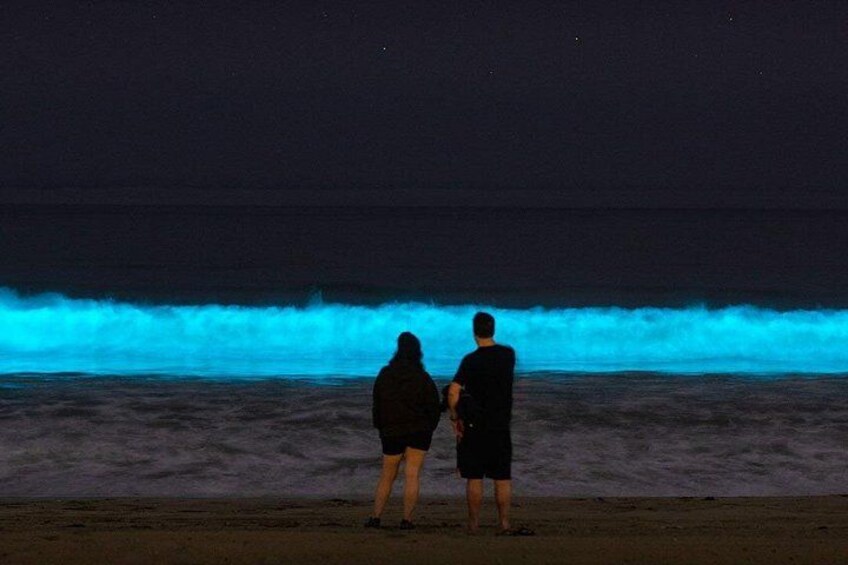 Holbox Bioluminescence Night Tour by Golf Cart 5