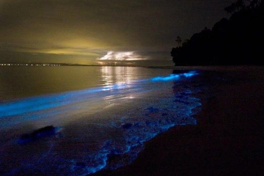Holbox Bioluminescence Night Tour by Golf Cart 4