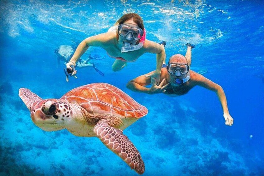 Deux personnes font de la plongée avec tuba en compagnie d’une tortue de mer dans une eau d’un bleu cristallin. 3