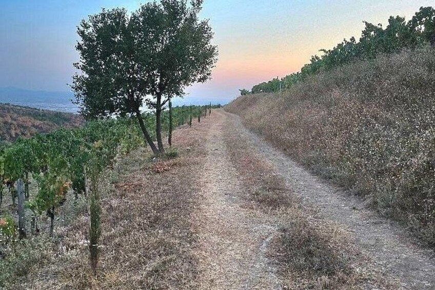 Berat Private Sunset Tour with Wine and Fruits 1