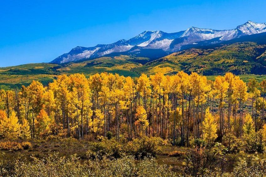 Rocky Mountain and Garden of Gods Self-Guided Driving Audio Tours 1