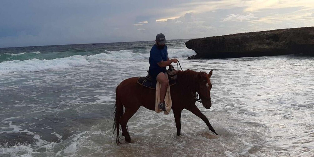 Picture 16 for Activity Aruba: 1.5-Hour Horseback Riding Tour to Urirama Cove Beach 5
