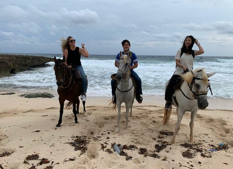 Picture 1 for Activity Aruba: 1.5-Hour Horseback Riding Tour to Urirama Cove Beach 4