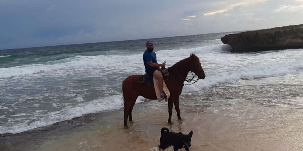 Picture 3 for Activity Aruba: 1.5-Hour Horseback Riding Tour to Urirama Cove Beach 3
