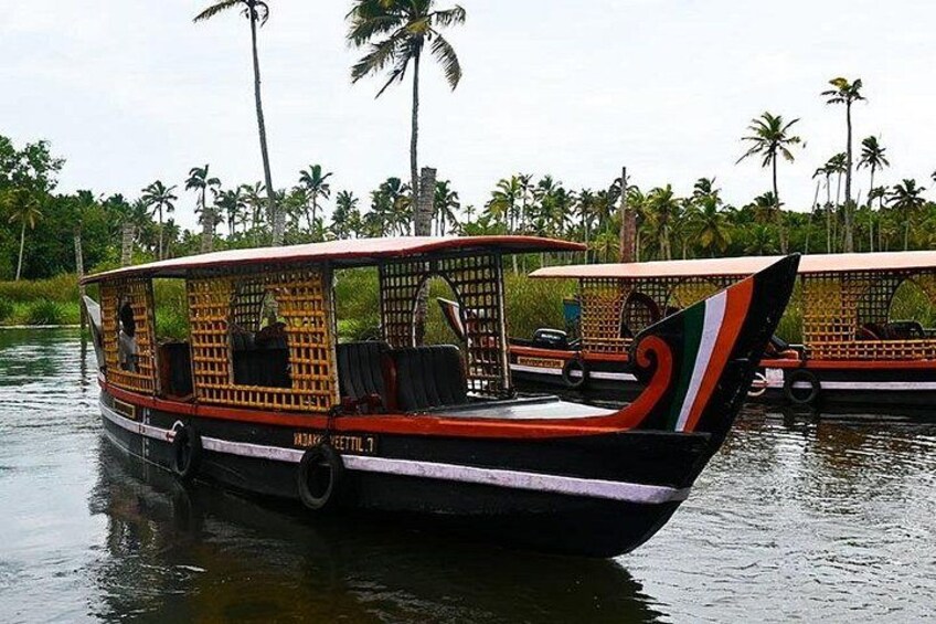 A traditional boat with a woven canopy, surrounded by palm trees and water. 4