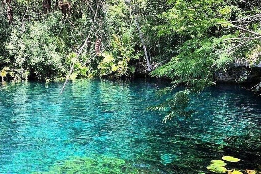 Holbox Island: Explore Nature, Beaches, and Local Culture 2