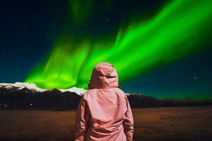 Una persona con una chaqueta rosa de pie en un campo con auroras boreales verdes en el fondo. 4