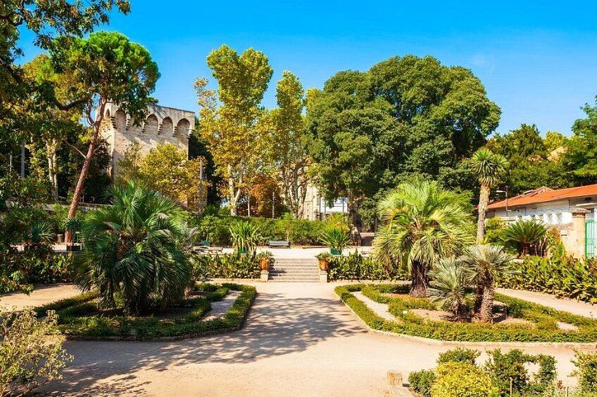 Un jardin avec un chemin central, des palmiers et un bâtiment aux arches en arrière-plan. 5