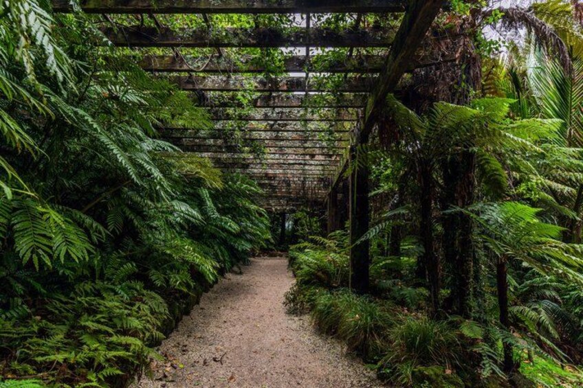 A forested path with a wooden pergola overhead. 4