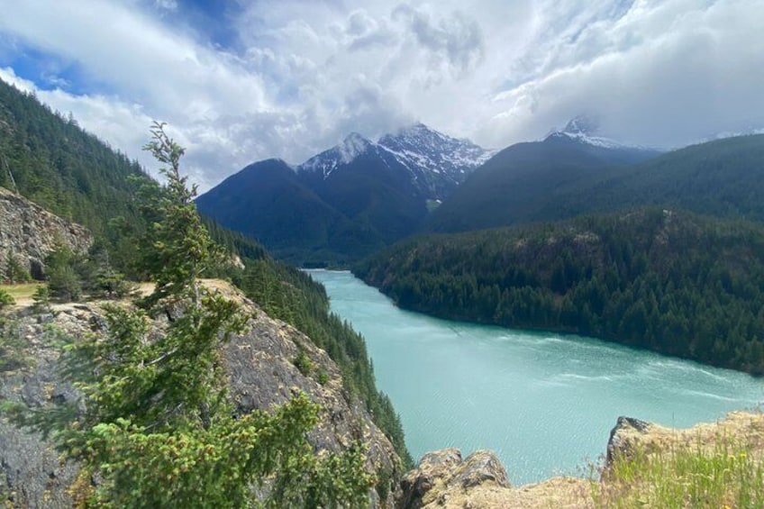Seattle: North Cascades Nat Park Highlights (catered lunch) 5