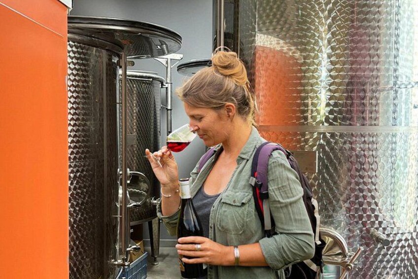 Montpellier Wine Tasting Experience 2