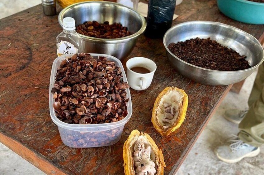 Indigenous Heritage Trekking in Minca : Cocoa, Cafe & Waterfall 3