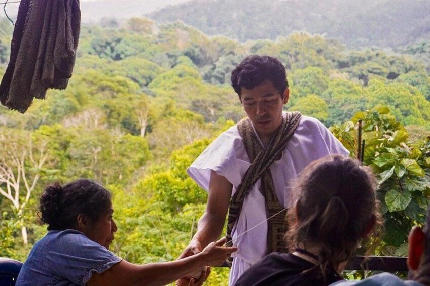 Indigenous Heritage Trekking in Minca : Cocoa, Cafe & Waterfall 4
