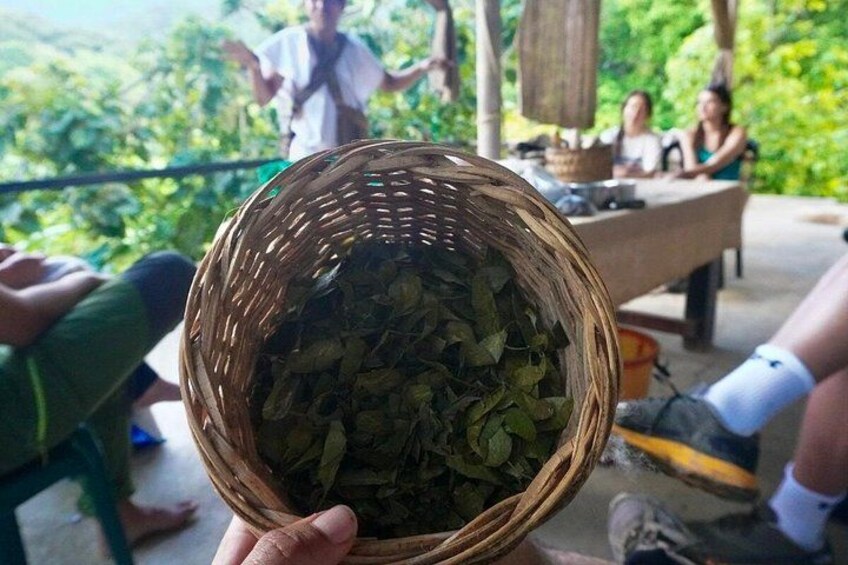 Indigenous Heritage Trekking in Minca : Cocoa, Cafe & Waterfall 2