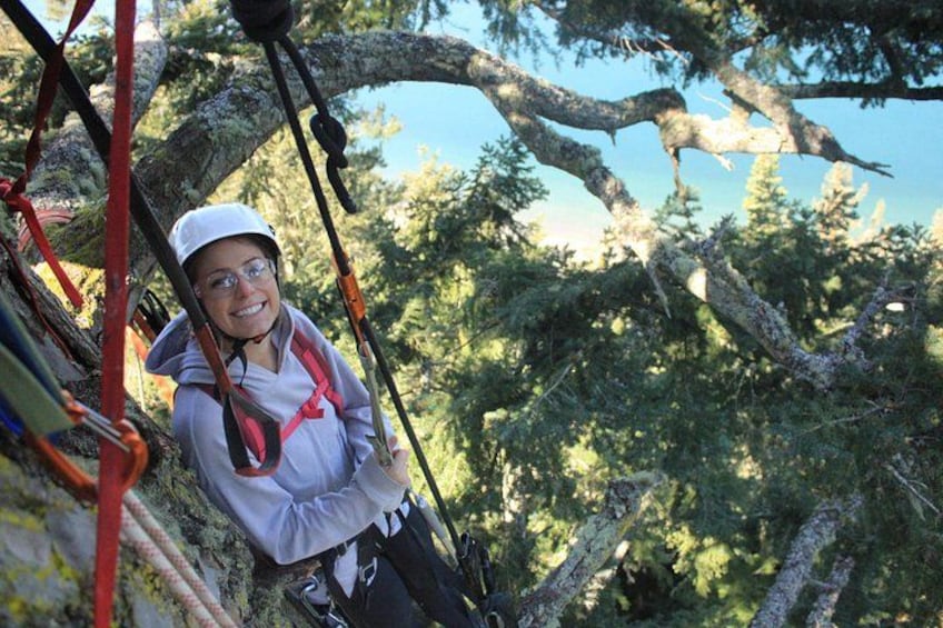 A person engaged in a ropes course activity, surrounded by trees and natural scenery. 5
