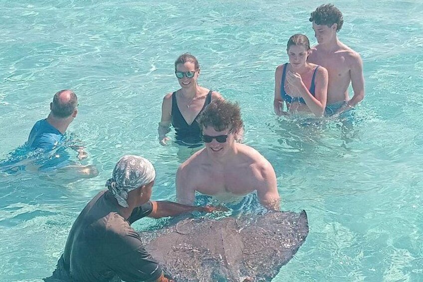 Stingray City Sandbar 3.5 hr Snorkel Tour & Starfish Beach 4