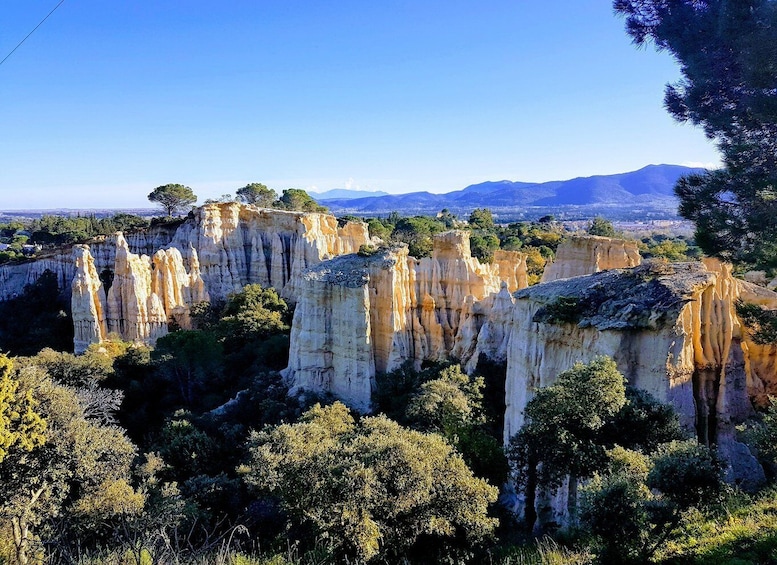 A landscape with tall, white rock formations surrounded by greenery and a distant mountain range. 3