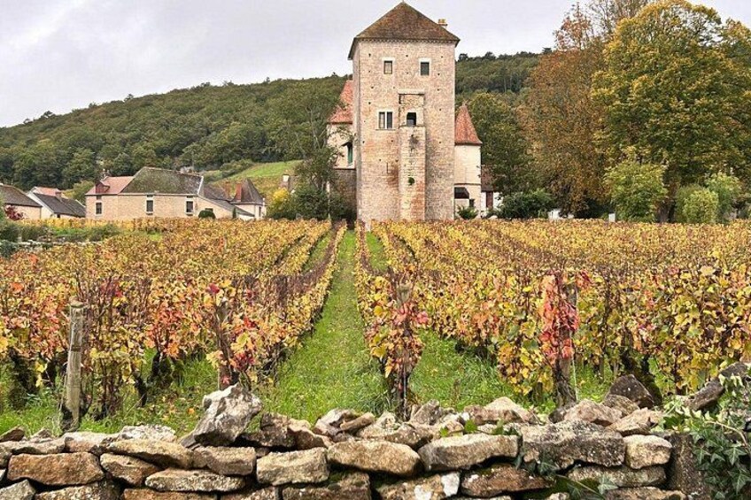 Un vignoble avec des rangées de vignes, un mur de pierre et, au fond, un bâtiment historique. 2