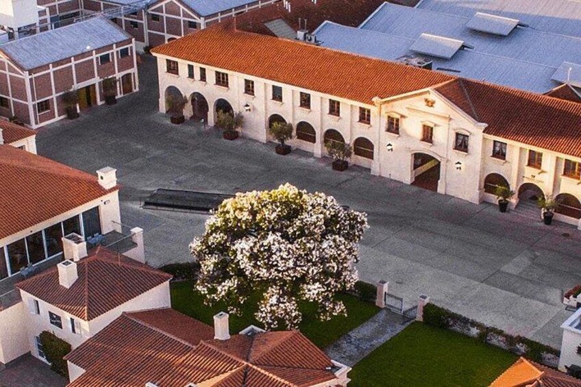 Un patio con un gran árbol en flor, edificios con tejados de tejas rojas y un edificio blanco con arcos. 5