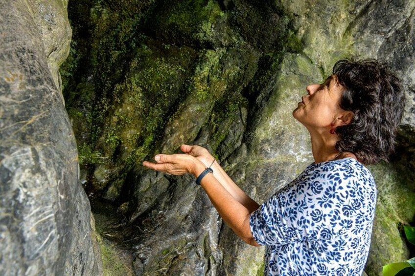 Una persona che tocca una roccia ricoperta di muschio. 1