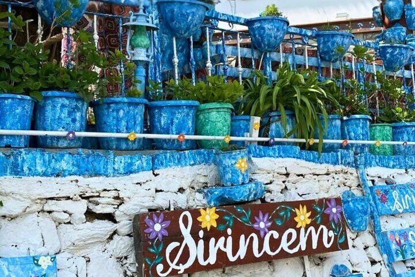 A wall with a sign reading "Sirincem" and various blue and green potted plants. 3
