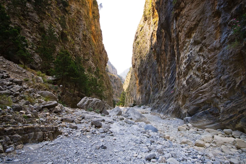 Picture 4 for Activity From Chania/Rethymno: Samariá Gorge Guided Hike with Pickup 3