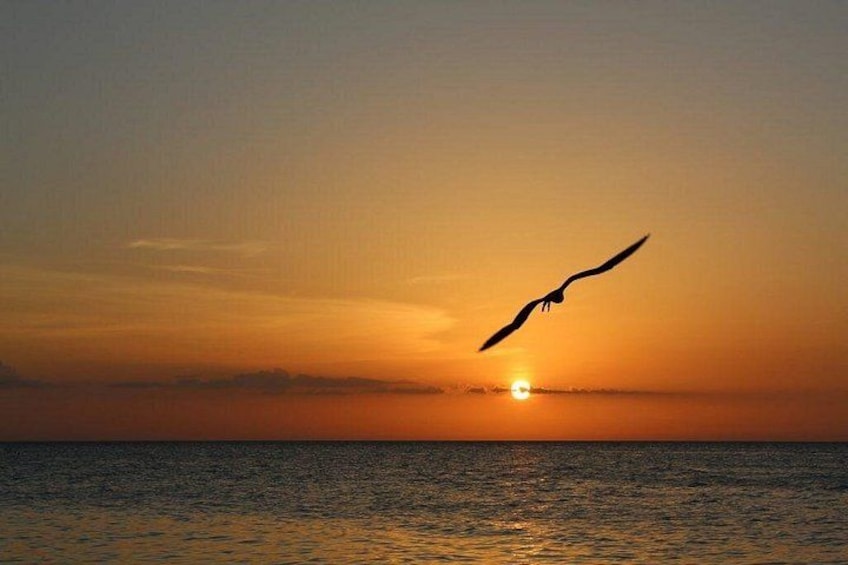 Holbox Island Private Sunset Tour 3