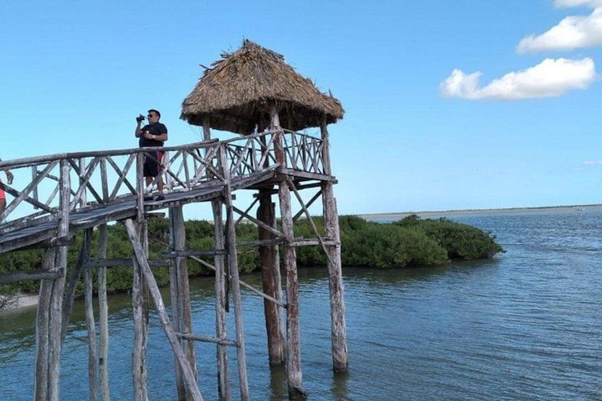Holbox Island Private Sunset Tour 5