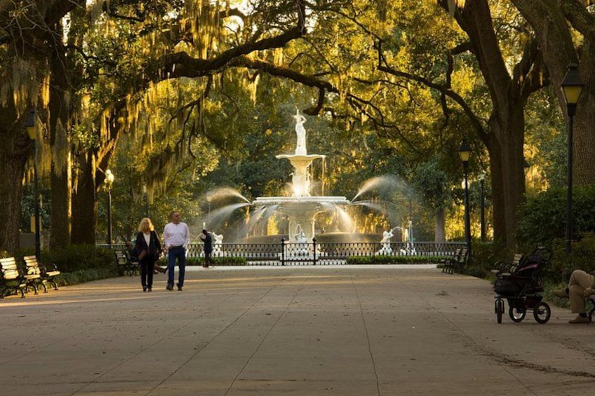 You will travel through the days of the colony through the cotton era and into modern preservation efforts. 4