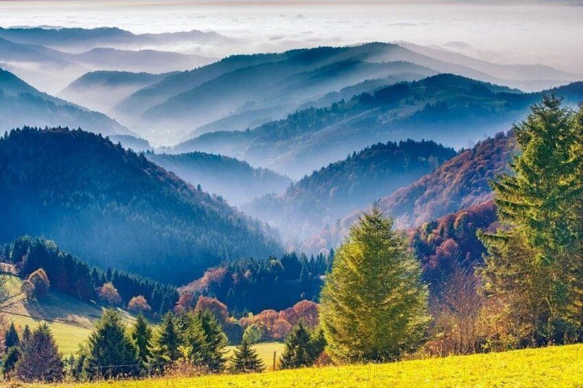 Black Forest Day Trip from Strasbourg: Baden Baden & Wine Route 3