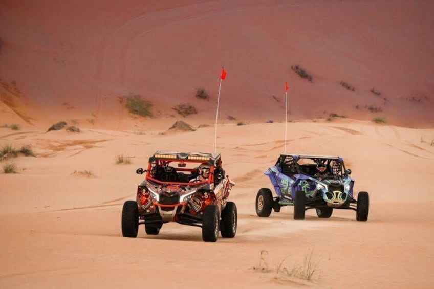 Deux véhicules tout-terrain dans un désert, avec des dunes de sable et des drapeaux. 1