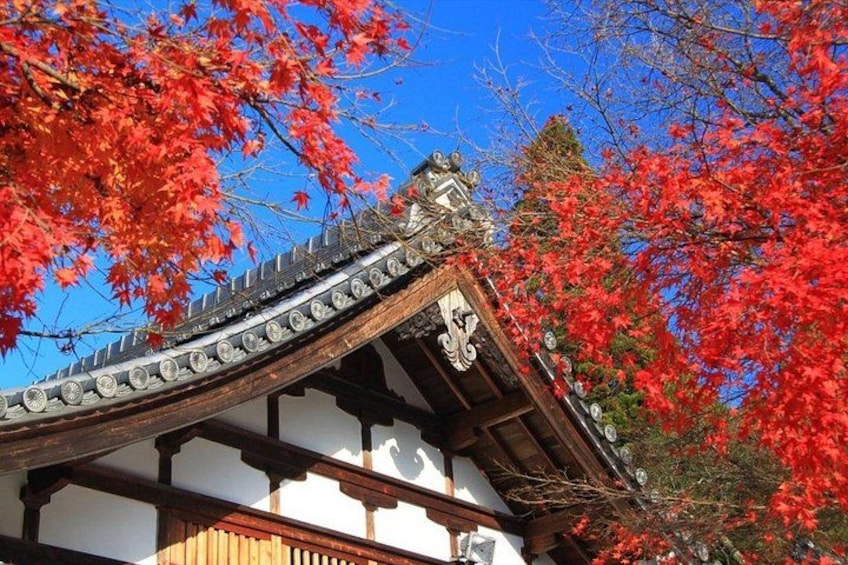 En traditionell japansk byggnad med ett tak täckt av tegelpannor och träbjälkar, omgiven av vackra, röda höstlöv. 5
