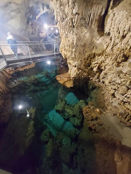 Picture 18 for Activity Grotta del Bue Marino and Cala Luna Boat Tour 4